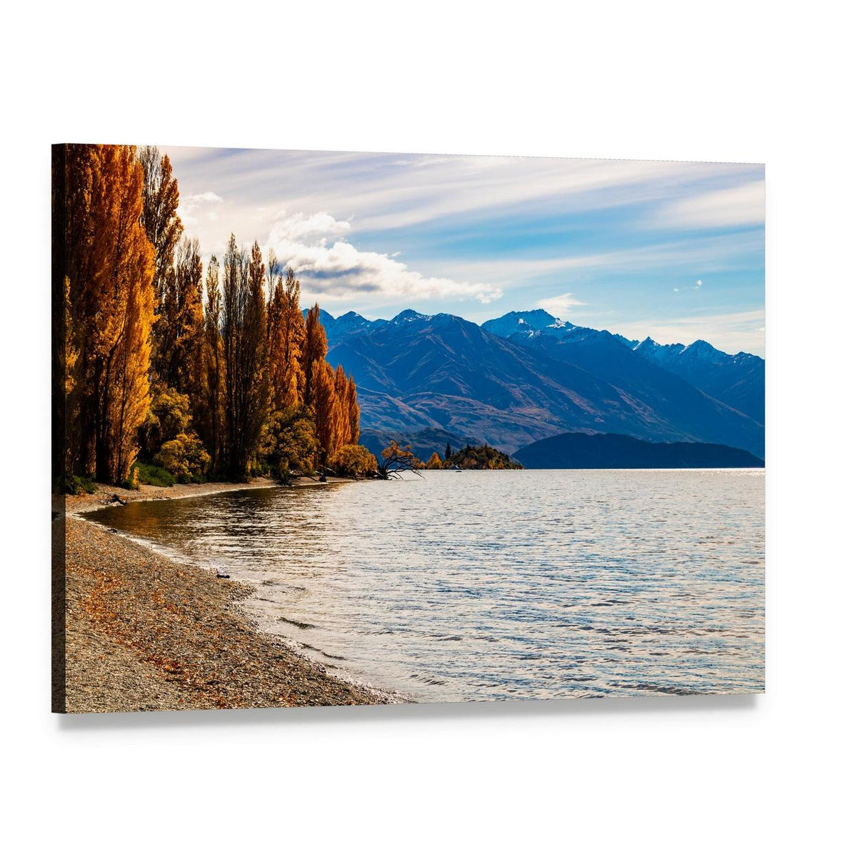 Autumn Trees at Wanaka Lake Canvas Wall Art, single panel gallery wrapped canvas, angled product view