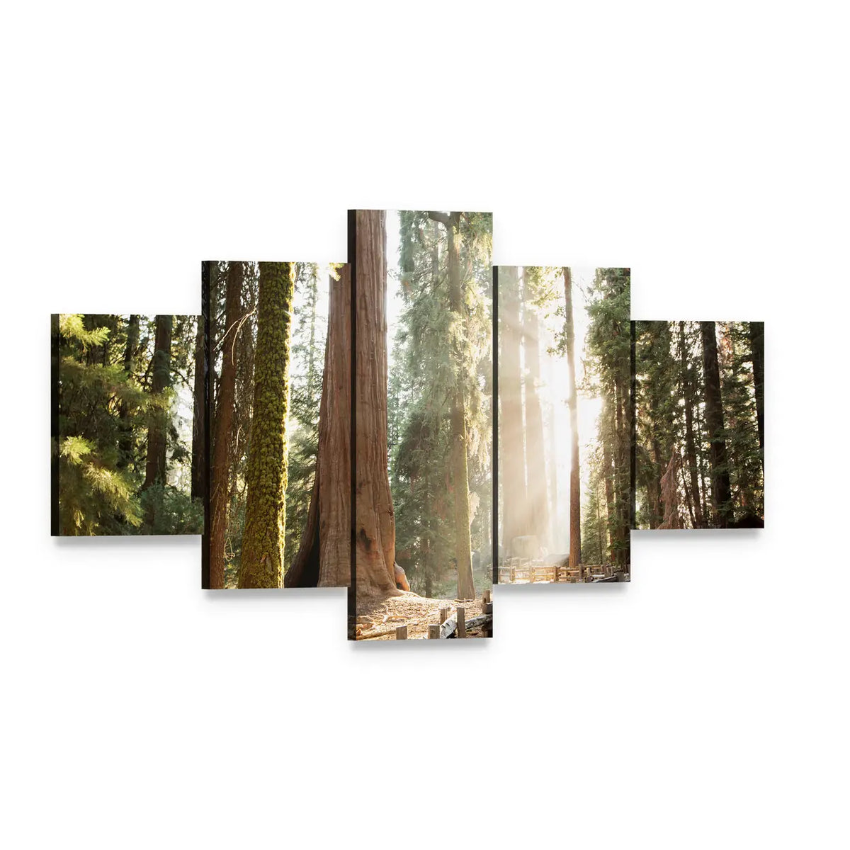 Sequoia Forest Path in Sequoia National Park Canvas Wall Art, 5 panel 5 Star layout gallery wrapped canvas set, angled product view