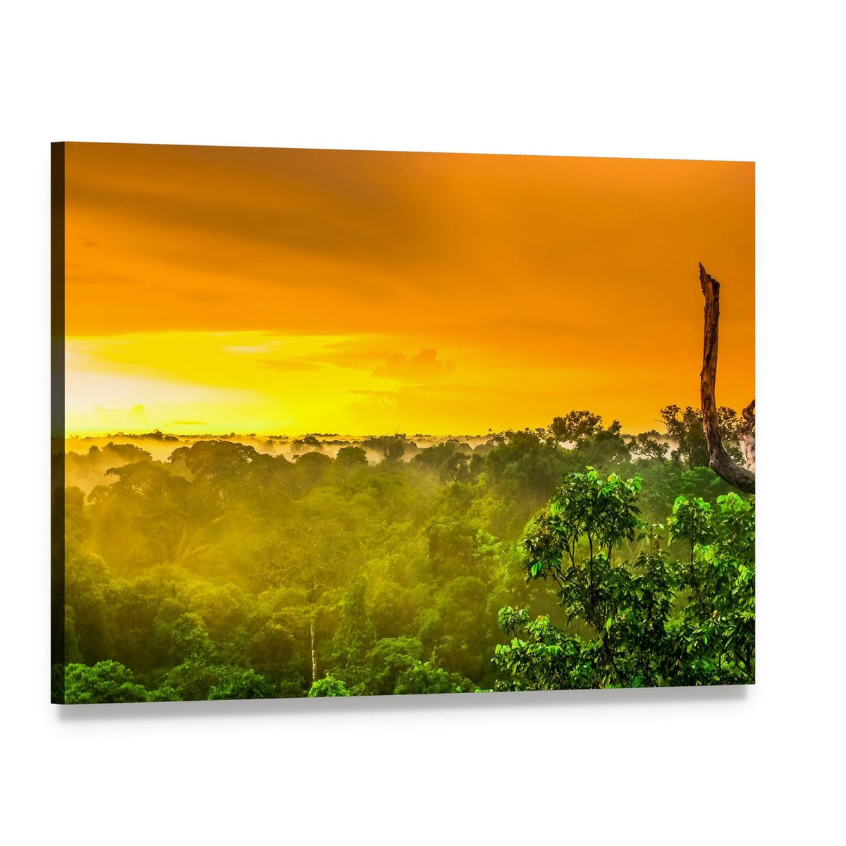 Sunset Over Brazilian Jungle Valley Canvas Wall Art, single panel gallery wrapped canvas, angled product view