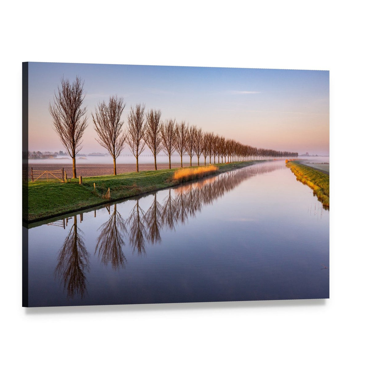 Early Morning Canal with Bare Trees Canvas Wall Art, single panel gallery wrapped canvas, angled product view
