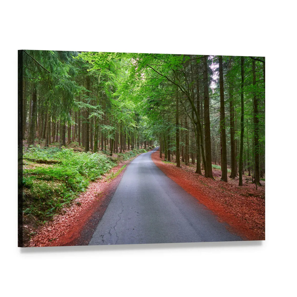 Winding Forest Road in Autumn Canvas Wall Art, single panel gallery wrapped canvas, angled product view