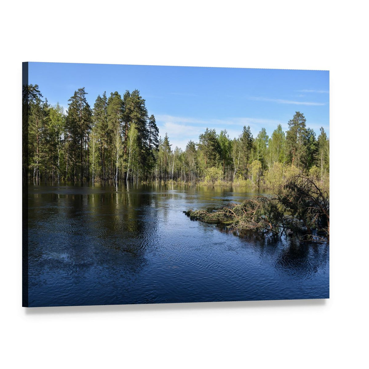 Forest Lake with Submerged Trees and Driftwood Canvas Wall Art, single panel gallery wrapped canvas, angled product view