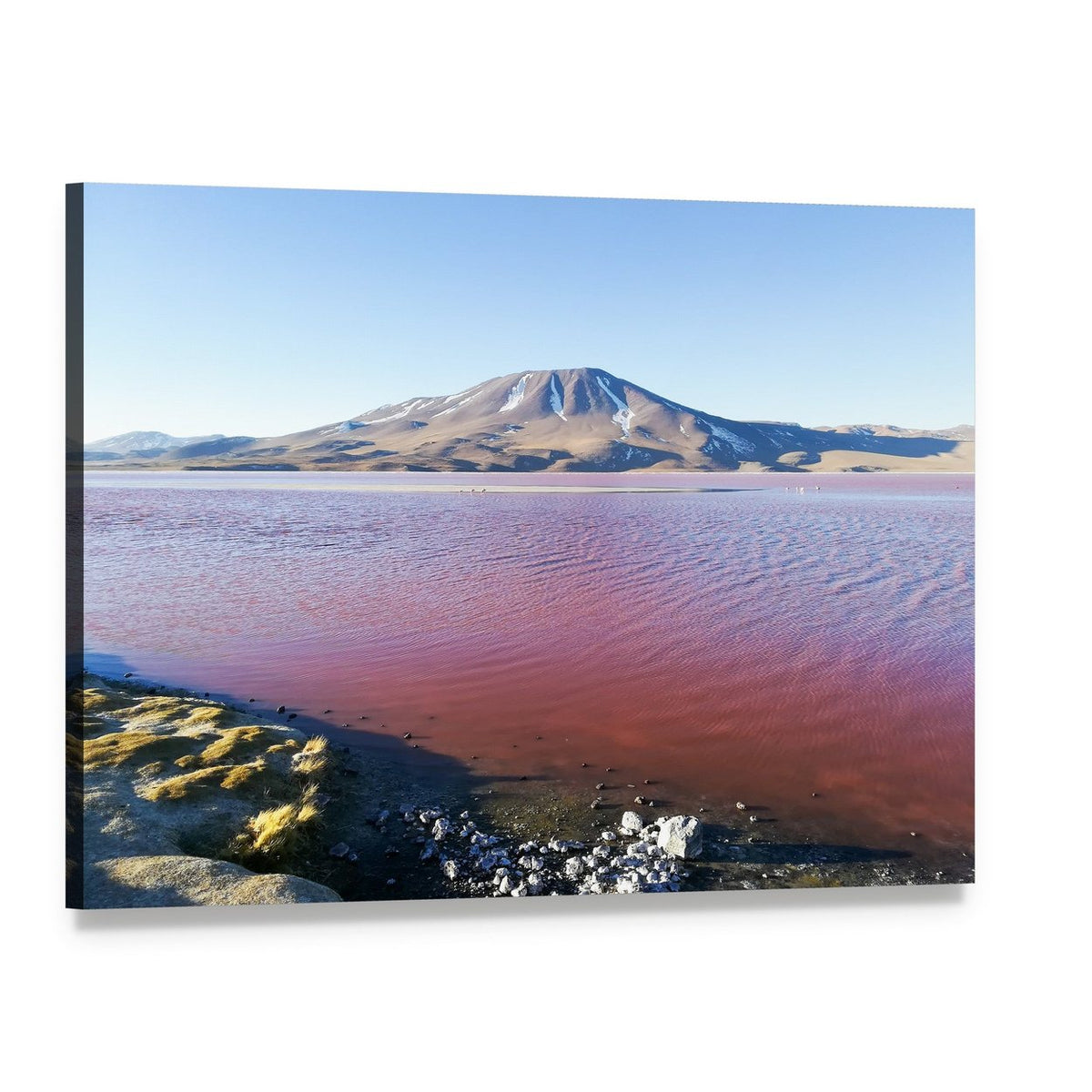 Bolivian Pink Lake with Snow-capped Mountain Canvas Wall Art, single panel gallery wrapped canvas, angled product view