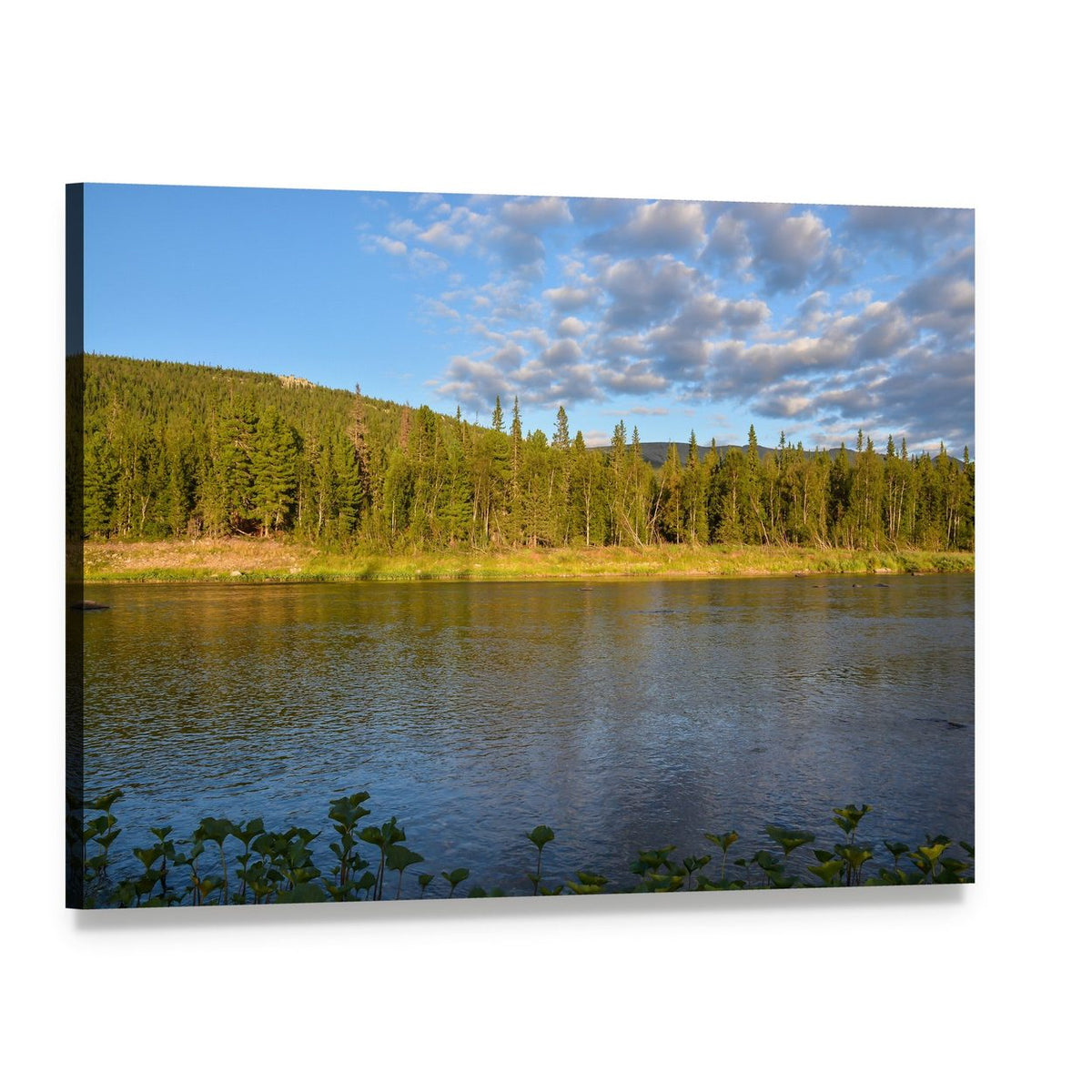 Shchugor River in Komi Virgin Forests Canvas Wall Art, single panel gallery wrapped canvas, angled product view