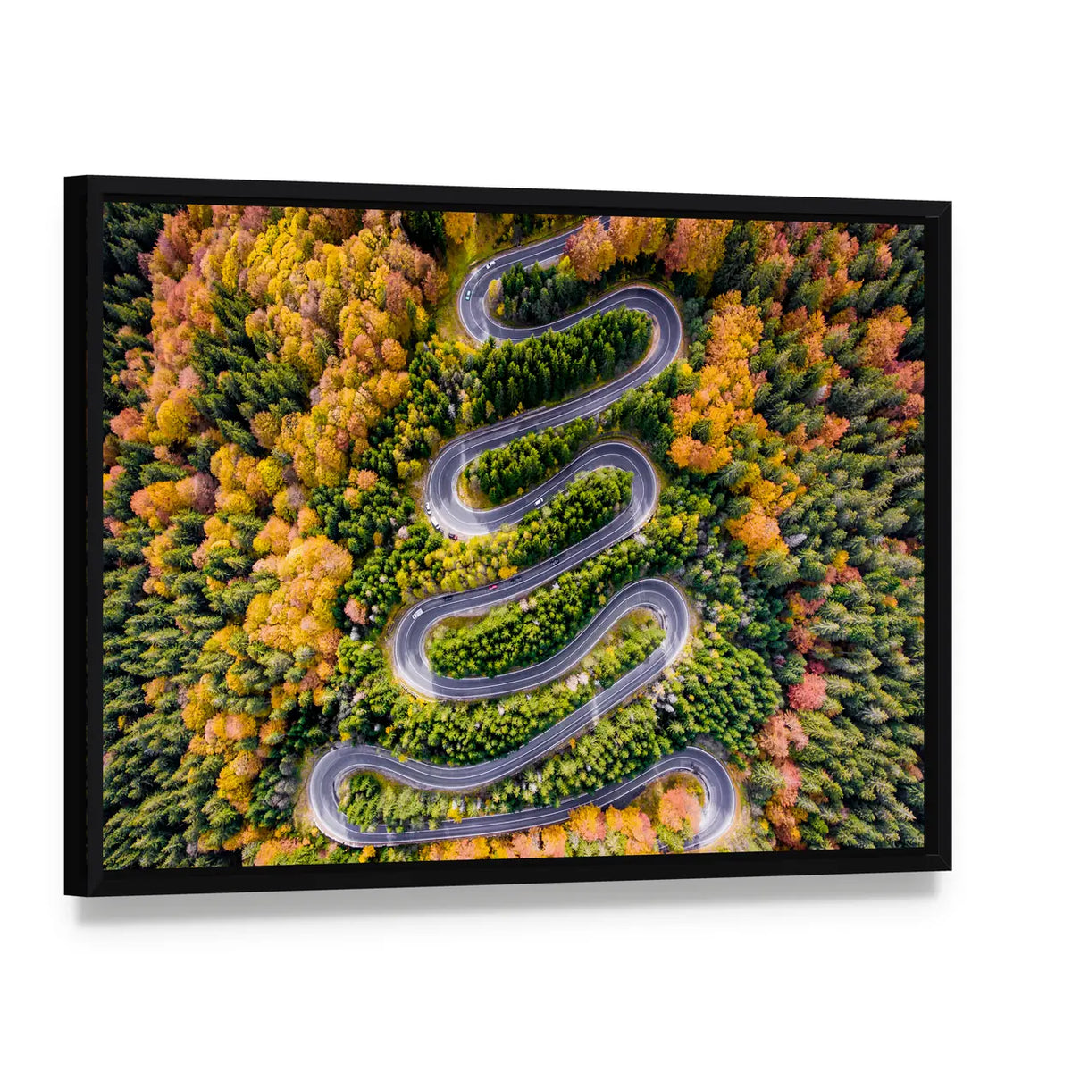 Autumn Winding Road In The Forest Canvas Wall Art, framed canvas in a black floater frame, angled product view