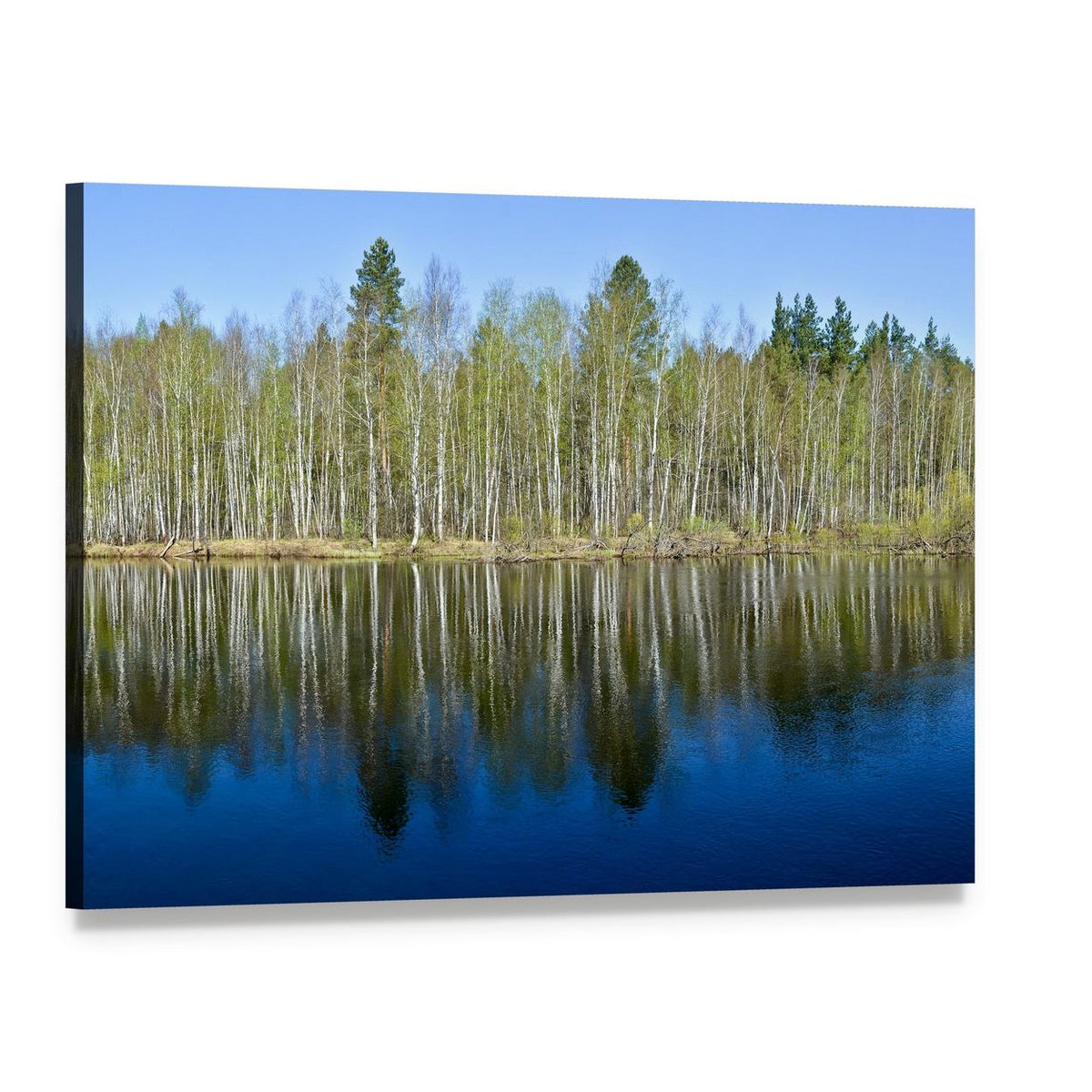 Spring River with Birch Reflections Canvas Wall Art, single panel gallery wrapped canvas, angled product view