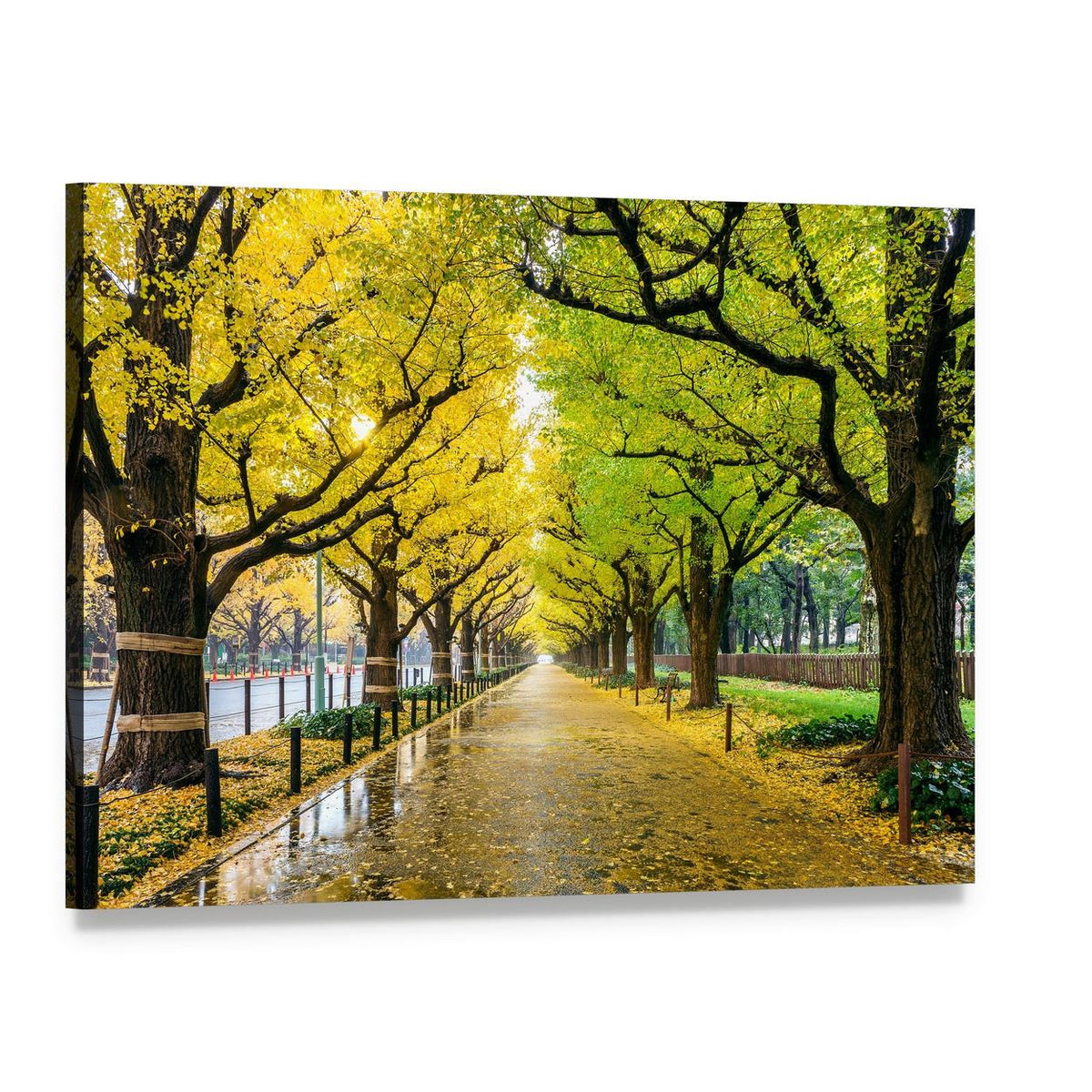 Autumn Avenue with Fallen Leaves Canvas Wall Art, single panel gallery wrapped canvas, angled product view