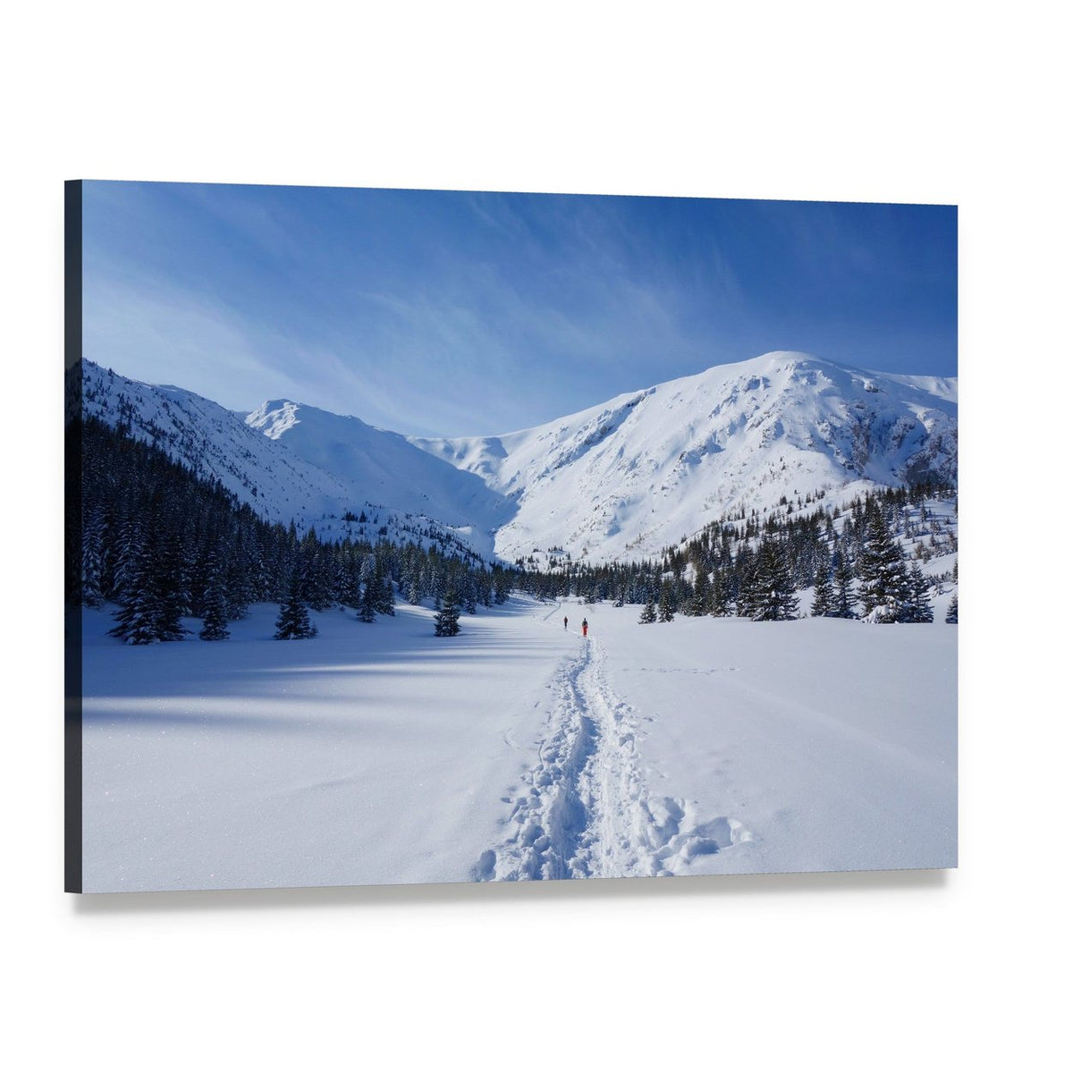 Snow Hiking Trail in Poland Canvas Wall Art, single panel gallery wrapped canvas, angled product view