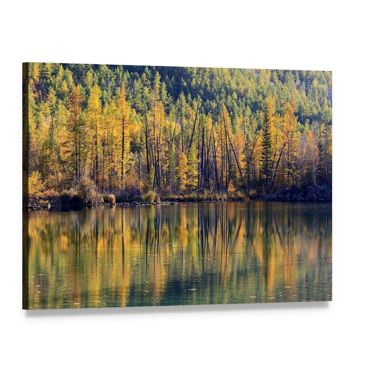 Autumn Forest Reflected in Lake Canvas Wall Art, single panel gallery wrapped canvas, angled product view