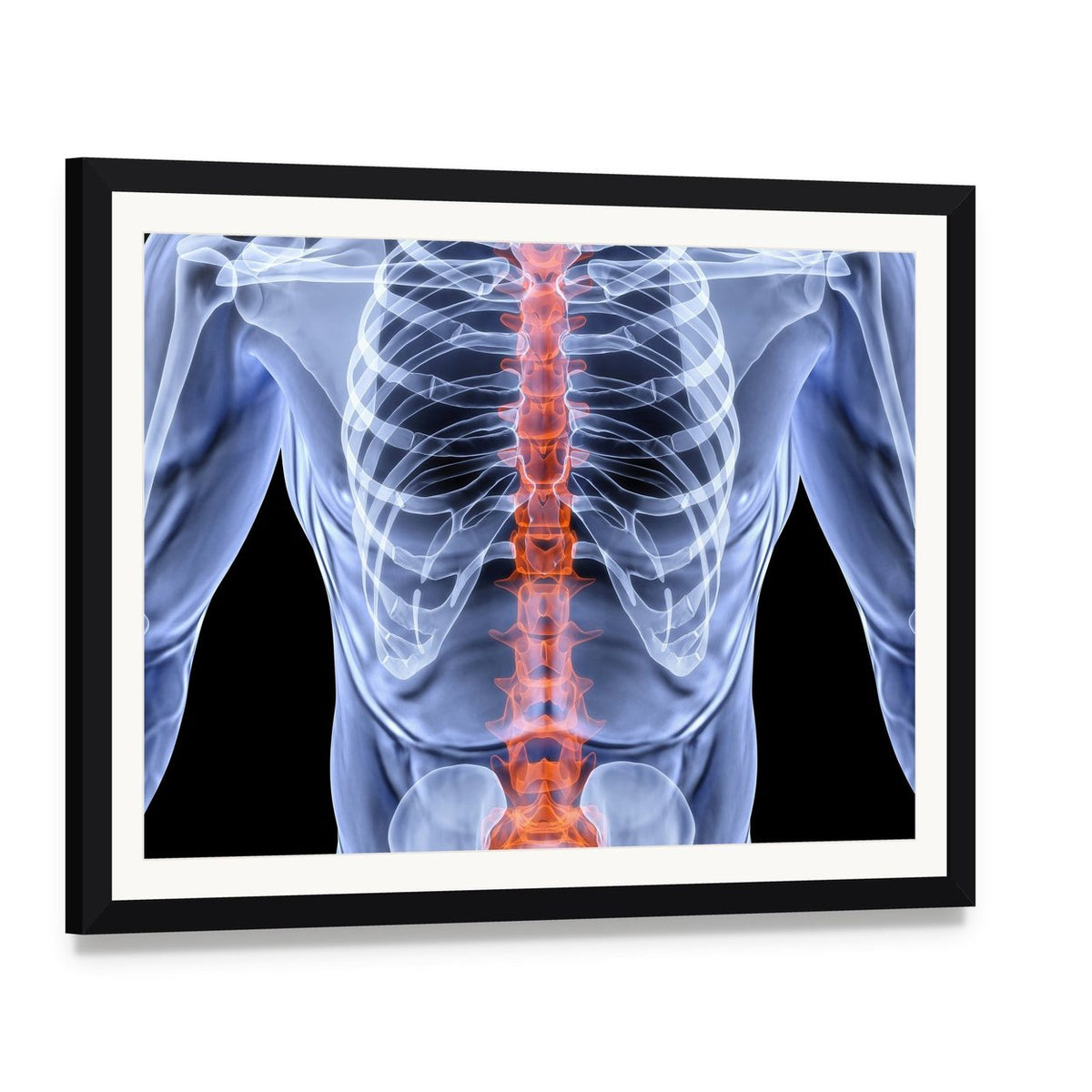 X-ray Male Spine with Glowing Red Vertebrae Canvas Wall Art, framed print with white mat and black frame, angled product view