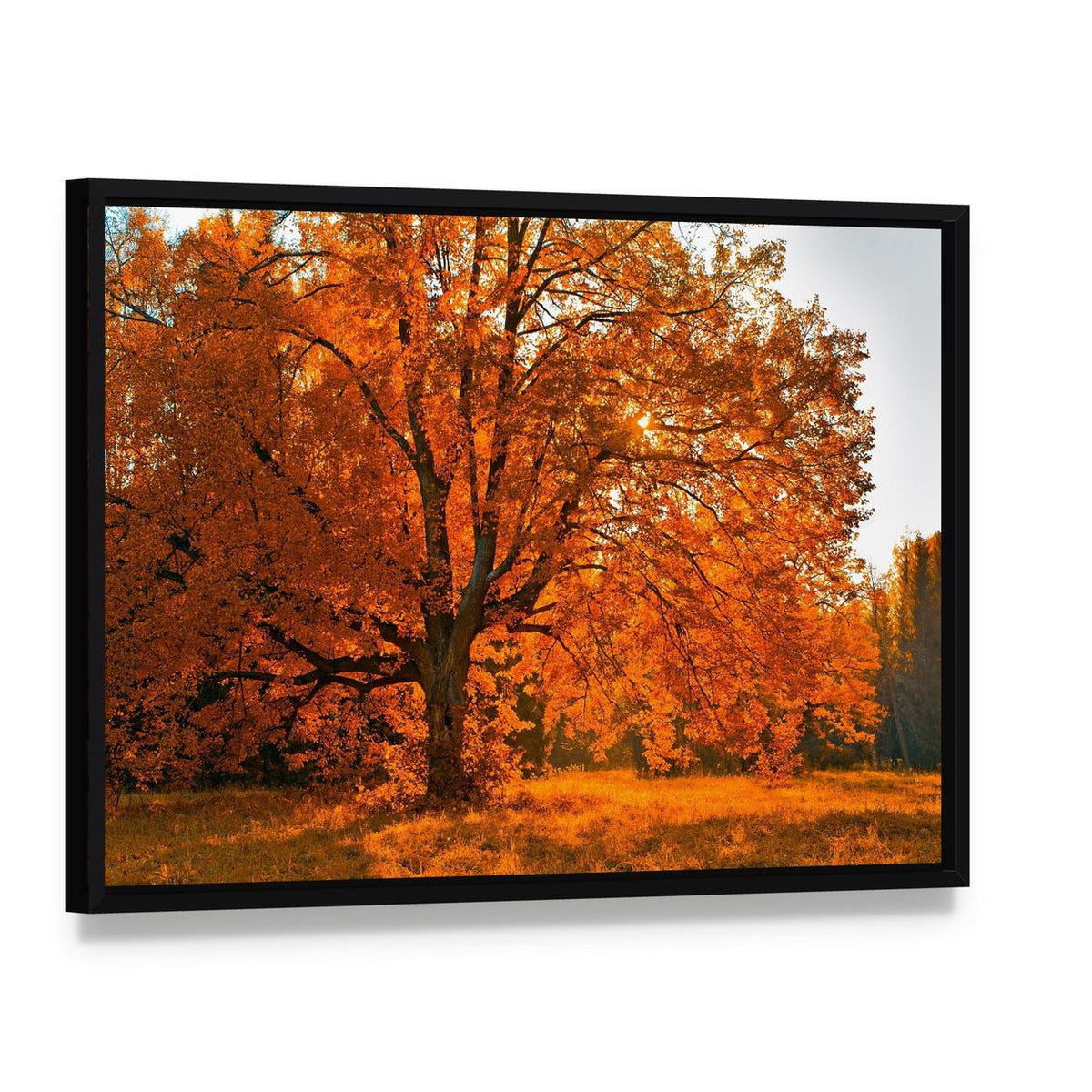 Yellow Leaves in Autumn Canvas Wall Art, framed canvas in a black floater frame, angled product view