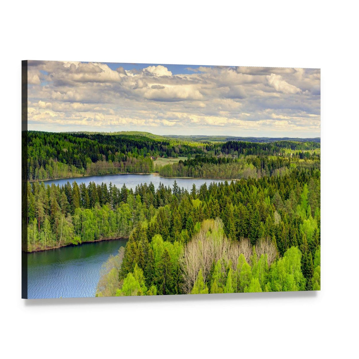 Aulanko Countryside, Finland Canvas Wall Art, single panel gallery wrapped canvas, angled product view