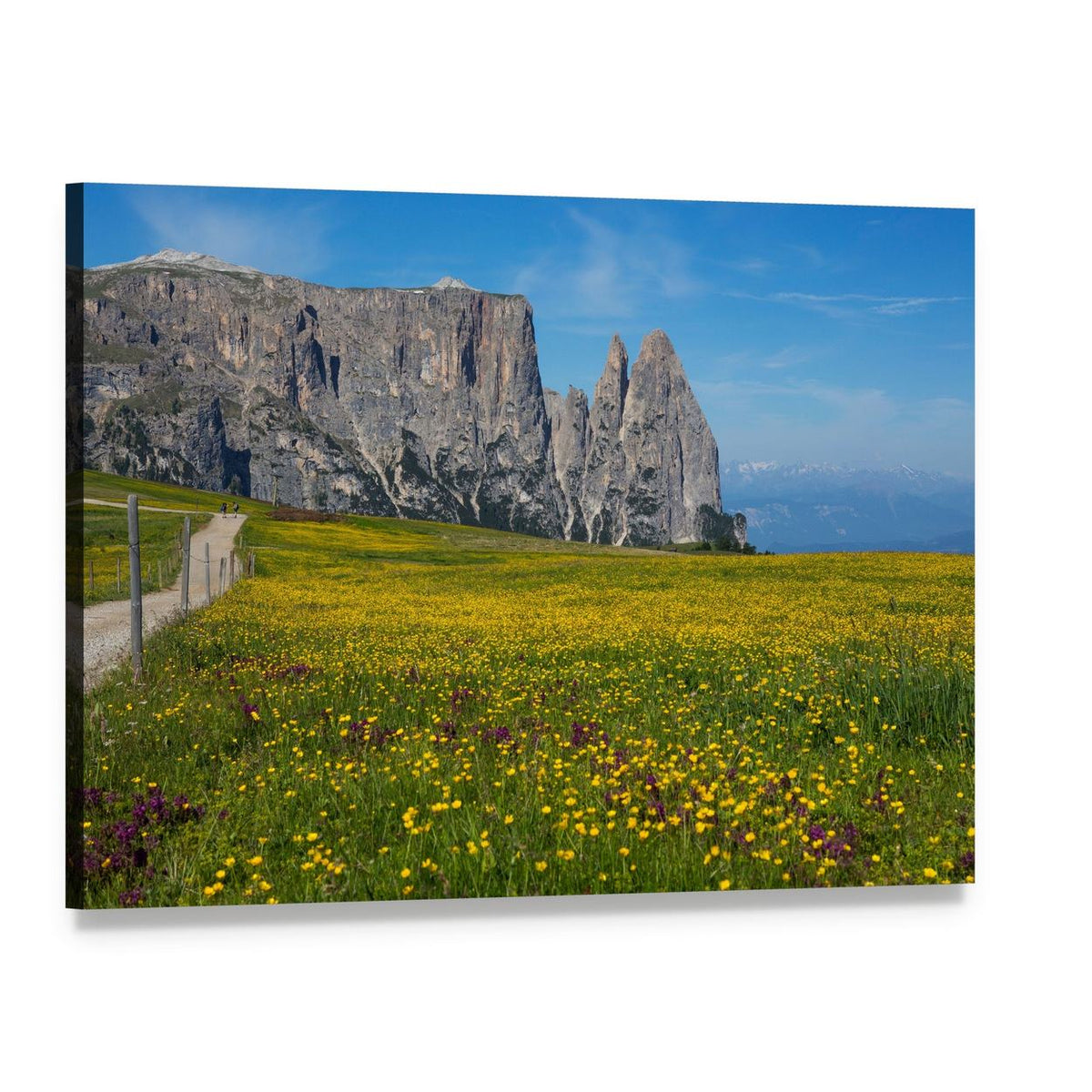 Alpe Di Siusi Wildflower Meadow and Mountains Canvas Wall Art, single panel gallery wrapped canvas, angled product view