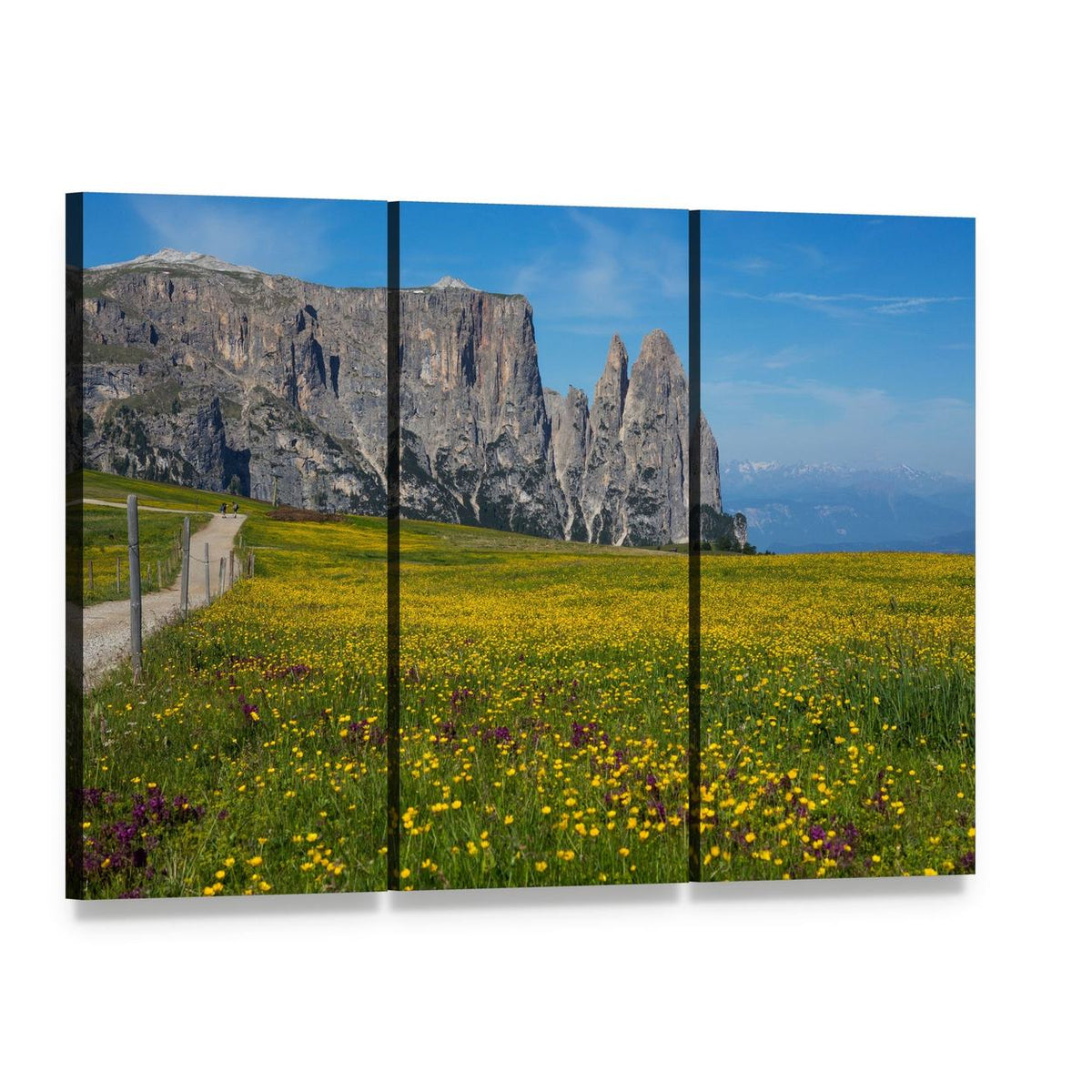 Alpe Di Siusi Wildflower Meadow and Mountains Canvas Wall Art, 3 panel 3 Horizontal layout gallery wrapped canvas set, angled product view