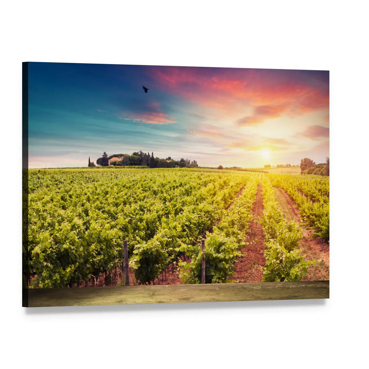 Tuscan Vineyards at Sunset Canvas Wall Art, single panel gallery wrapped canvas, angled product view
