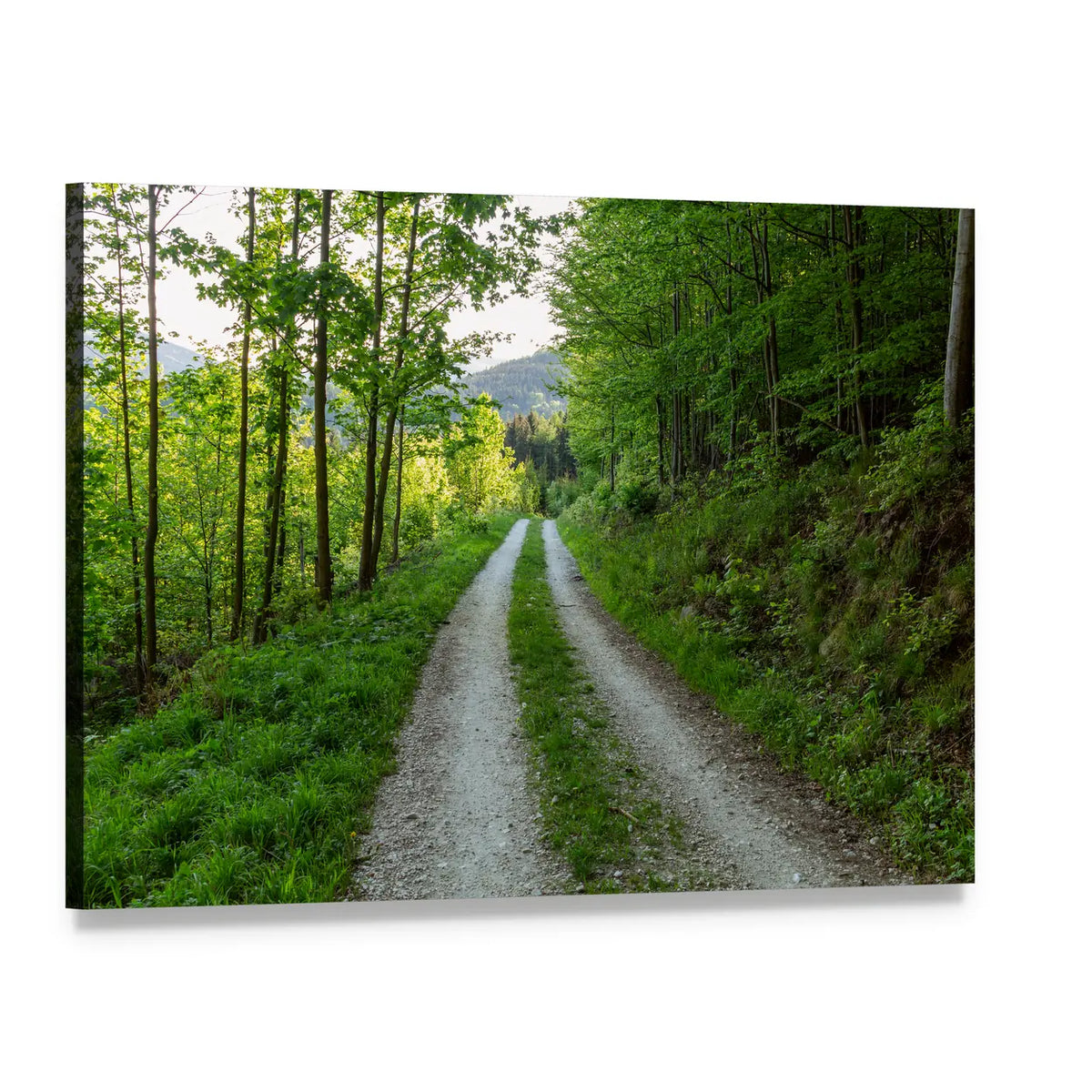 Cycling Road in Forest Canvas Wall Art, single panel gallery wrapped canvas, angled product view