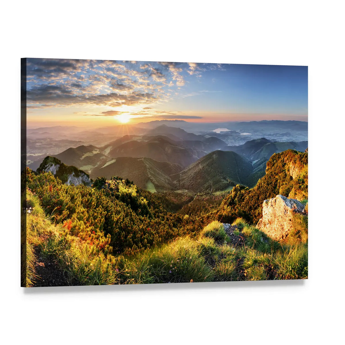 Sunlit Mountain Forest Canvas Wall Art, single panel gallery wrapped canvas, angled product view