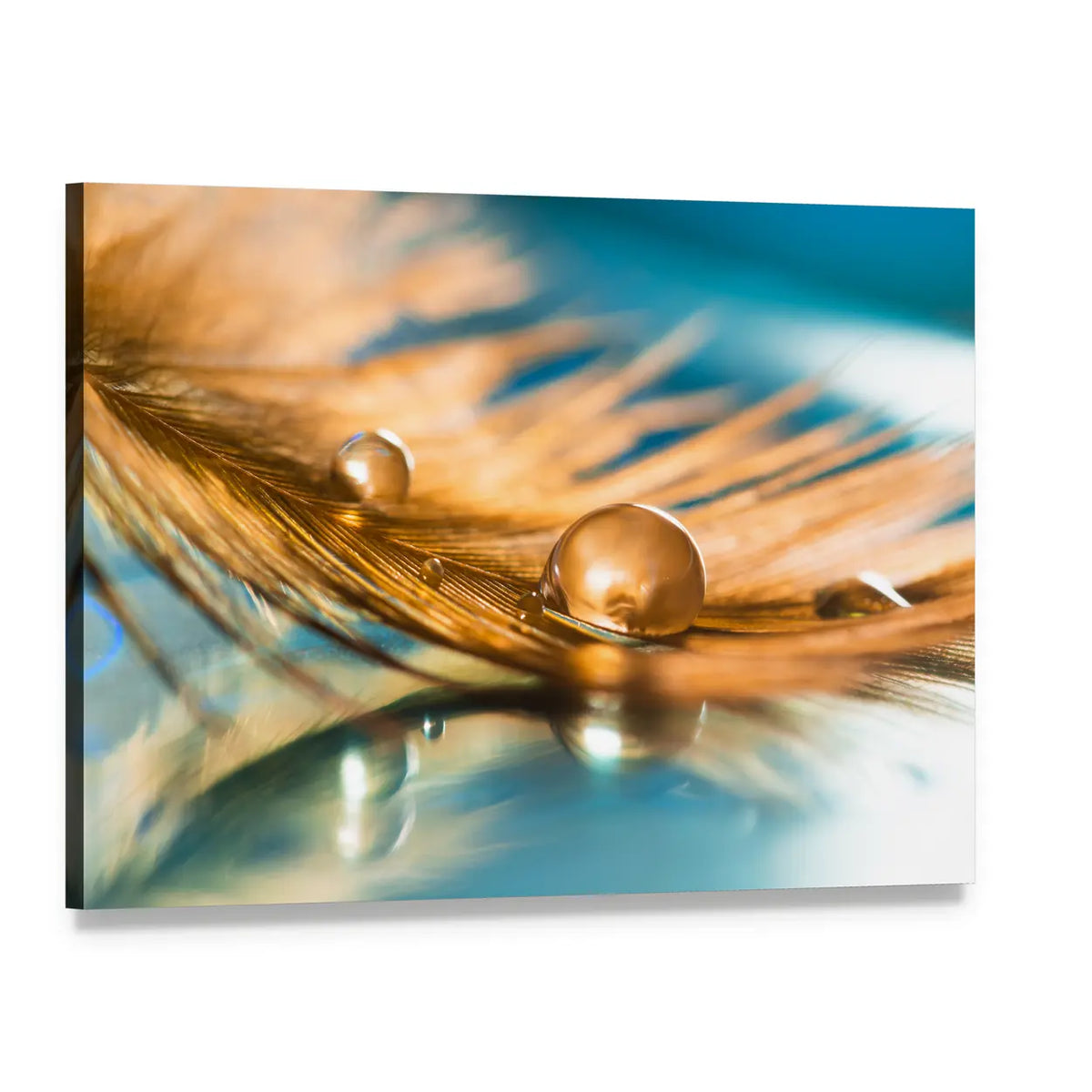 Golden Feather Of A Bird Abstract Canvas Wall Art, single panel gallery wrapped canvas, angled product view