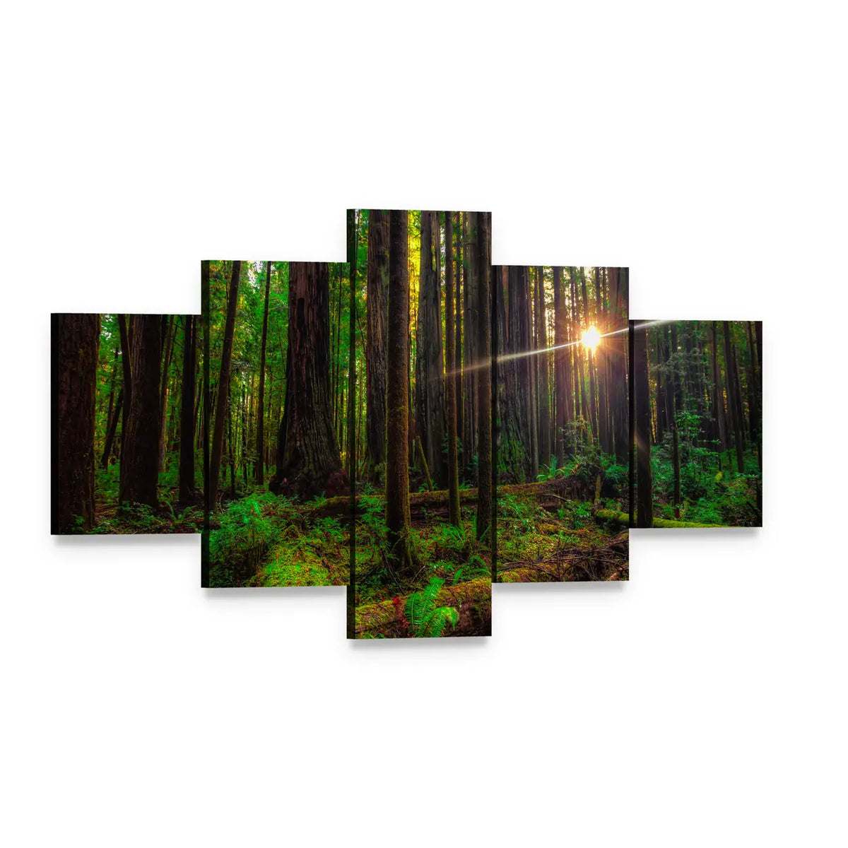Sunlight in the Redwoods Canvas Wall Art, 5 panel 5 Star layout gallery wrapped canvas set, angled product view