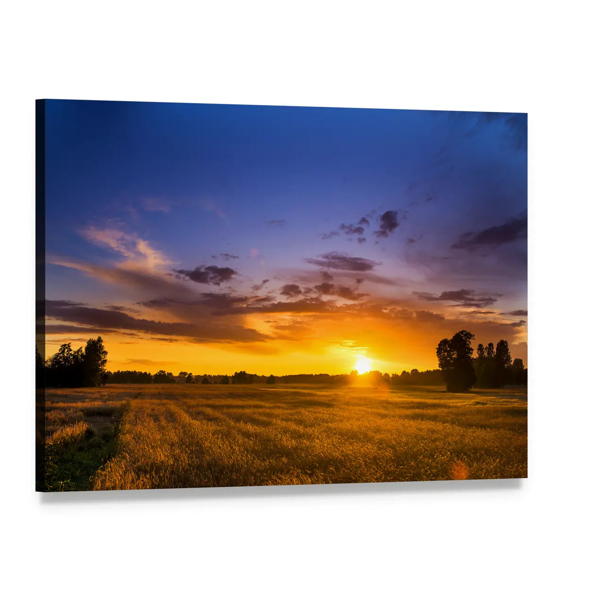 Summer Sunset Over Fields Canvas Wall Art, single panel gallery wrapped canvas, angled product view