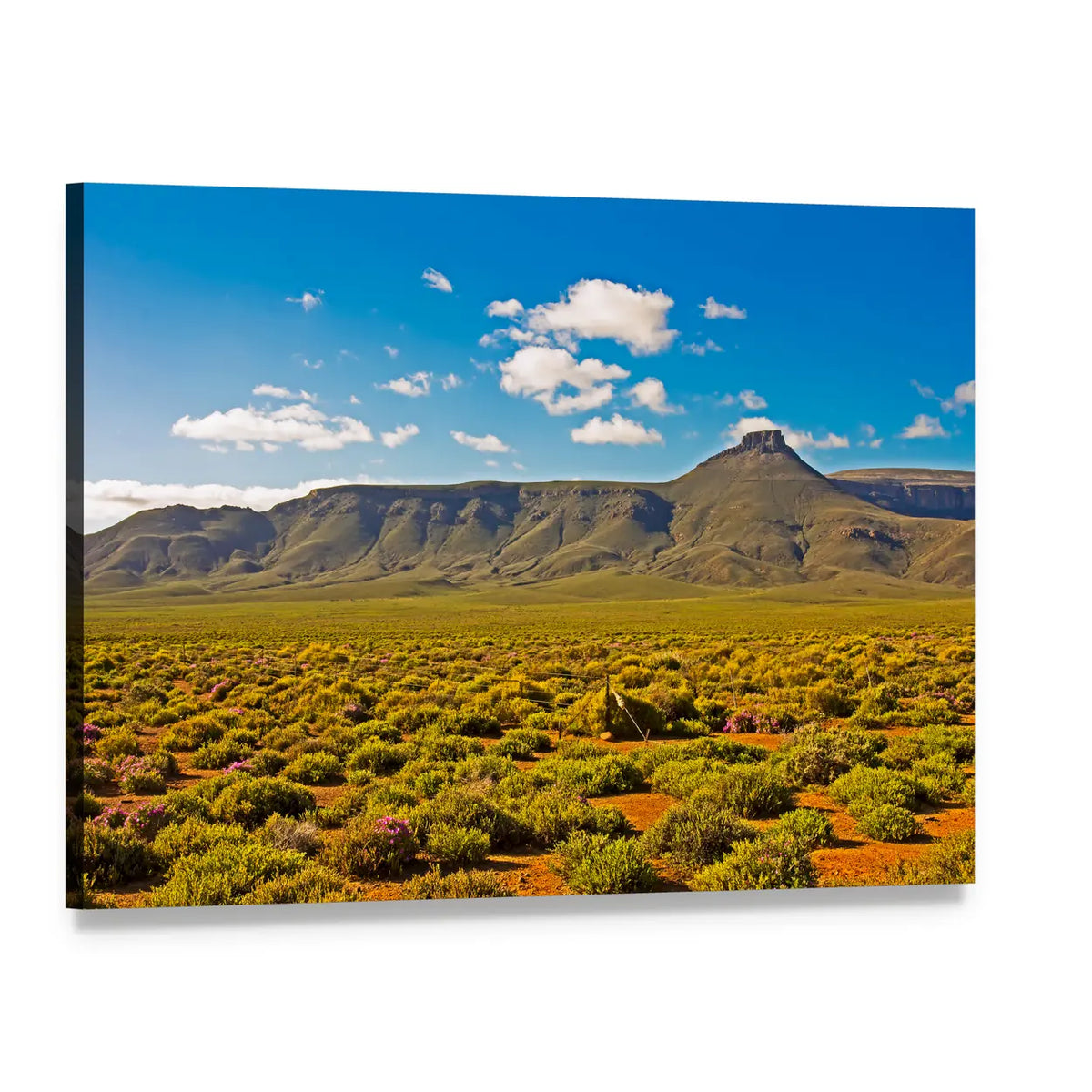 Tankwa Karoo Landscape with Flat-topped Mountain Canvas Wall Art, single panel gallery wrapped canvas, angled product view