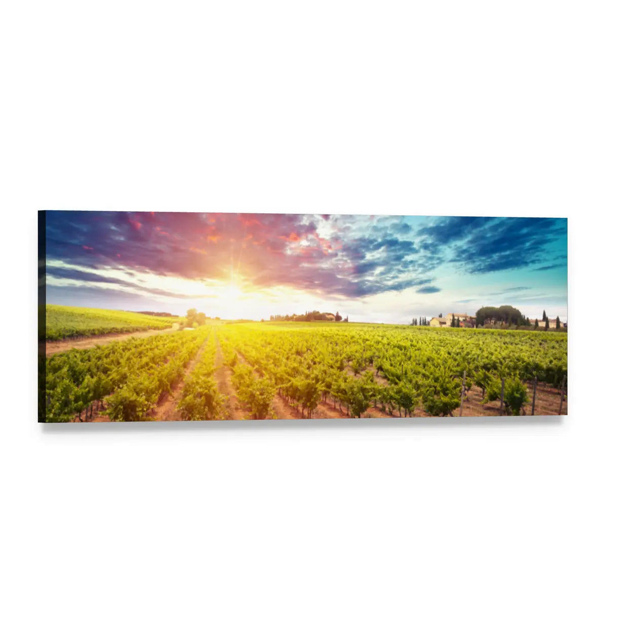 Tuscany Vineyard at Sunset Panoramic Canvas Wall Art, single panel gallery wrapped canvas, angled product view
