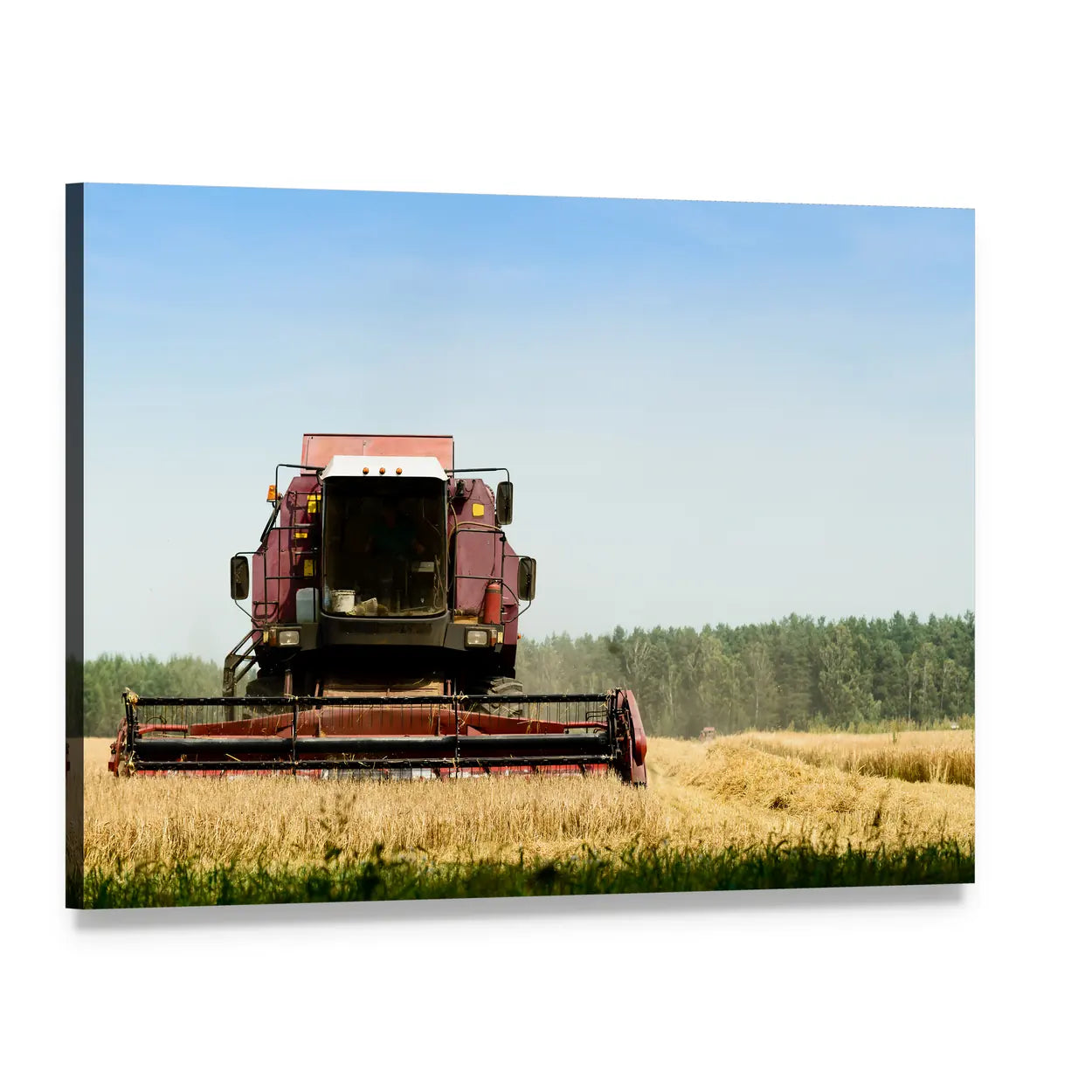 Red Combine Harvester in Wheat Field Canvas Wall Art, single panel gallery wrapped canvas, angled product view
