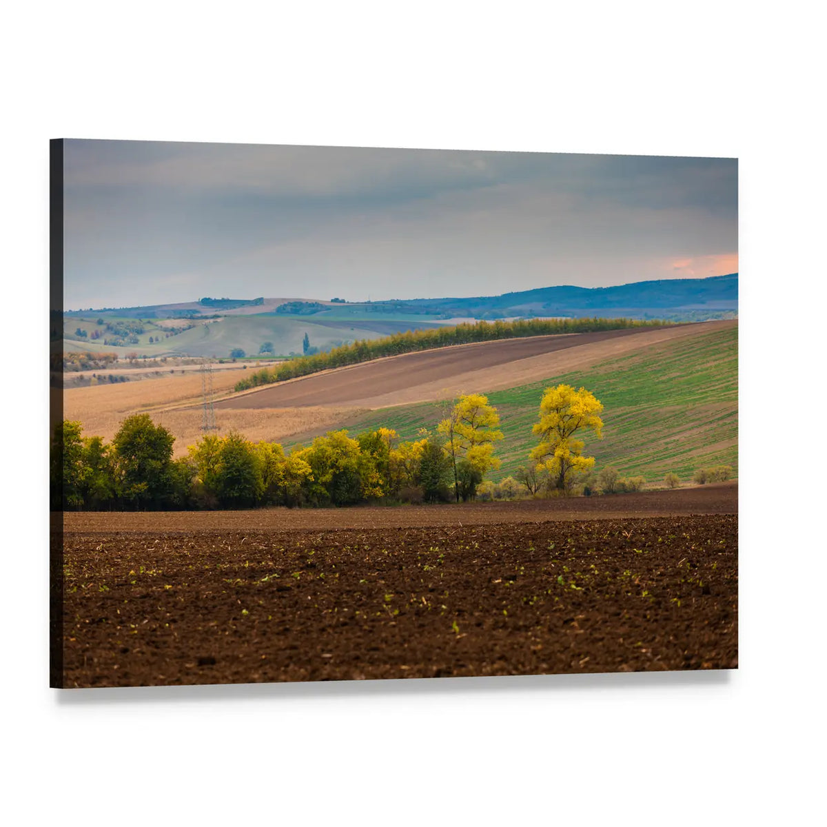 Farm Landscape with Plowed Field Canvas Wall Art, single panel gallery wrapped canvas, angled product view