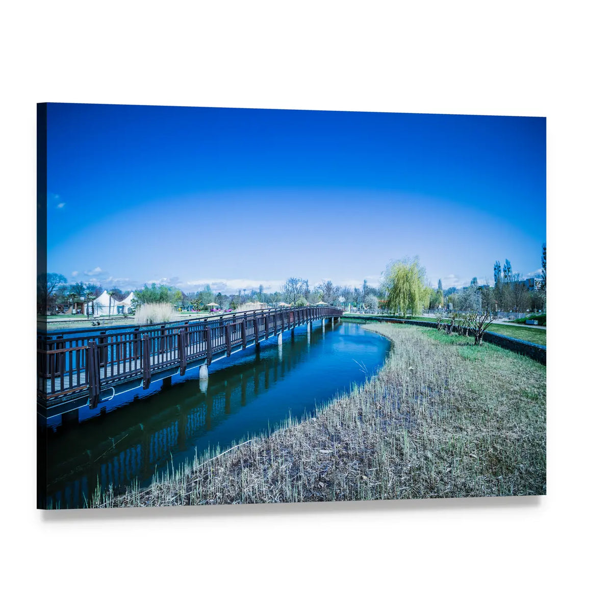 Weeping Willow Boardwalk by Reflective Lake Canvas Wall Art, single panel gallery wrapped canvas, angled product view