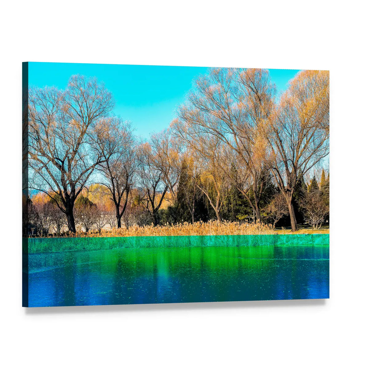 Trees by the Lake in Autumn Canvas Wall Art, single panel gallery wrapped canvas, angled product view