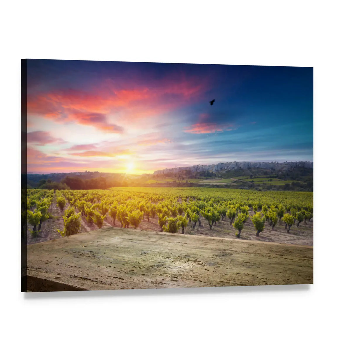 Vineyard at Sunset Canvas Wall Art, single panel gallery wrapped canvas, angled product view