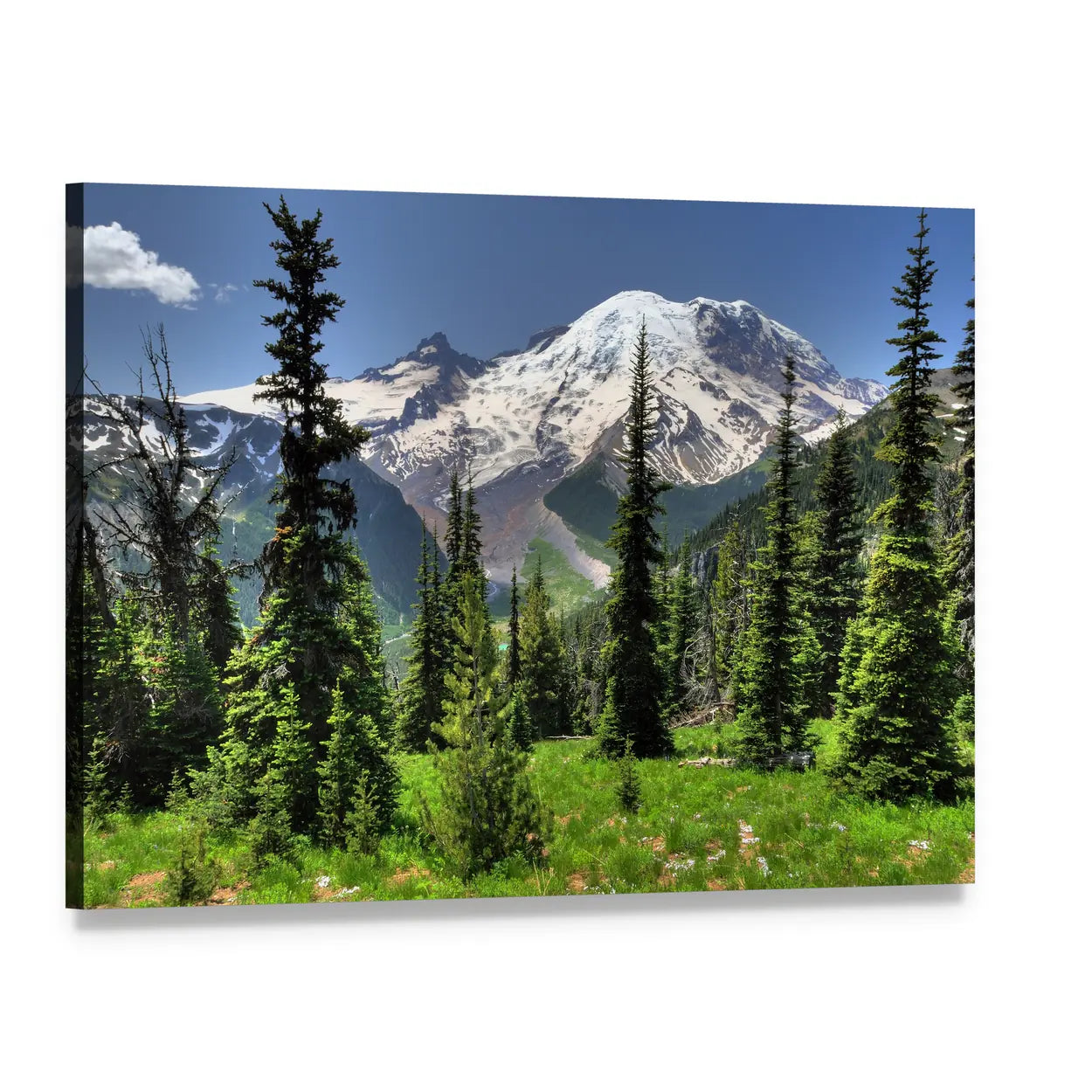 Mt Rainier and Pine Trees Canvas Wall Art, single panel gallery wrapped canvas, angled product view