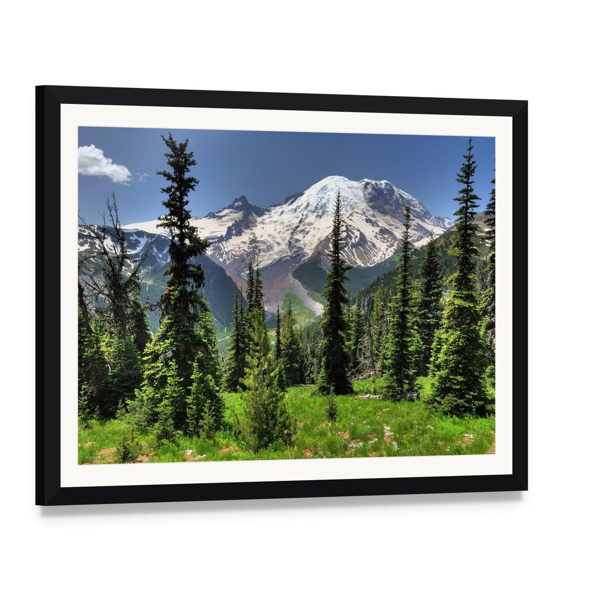 Mt Rainier from Pine Forest Canvas Wall Art, framed print with white mat and black frame, angled product view