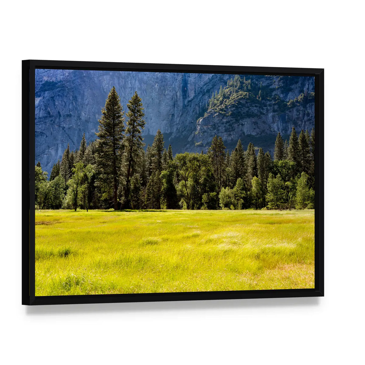 Spring Meadow at Yosemite National Park Canvas Wall Art, framed canvas in a black floater frame, angled product view