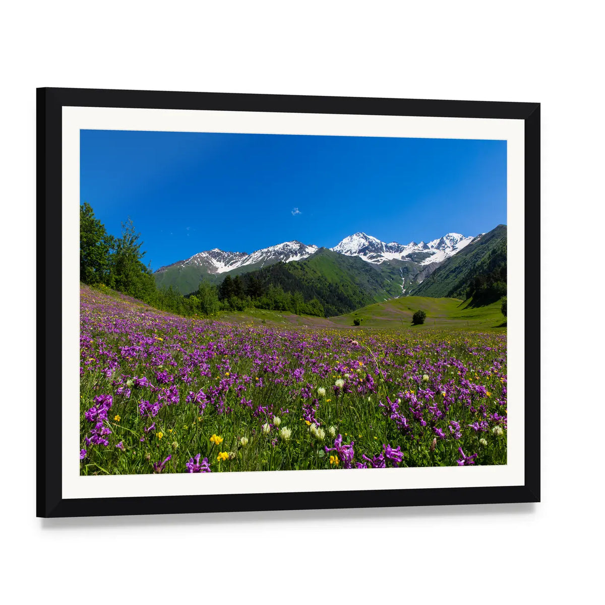 Alpine Fields with Purple Flowers Canvas Wall Art, framed print with white mat and black frame, angled product view