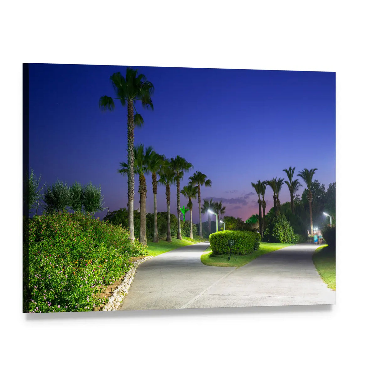 Beach Pathway with Palm Trees in Turkey Canvas Wall Art, single panel gallery wrapped canvas, angled product view