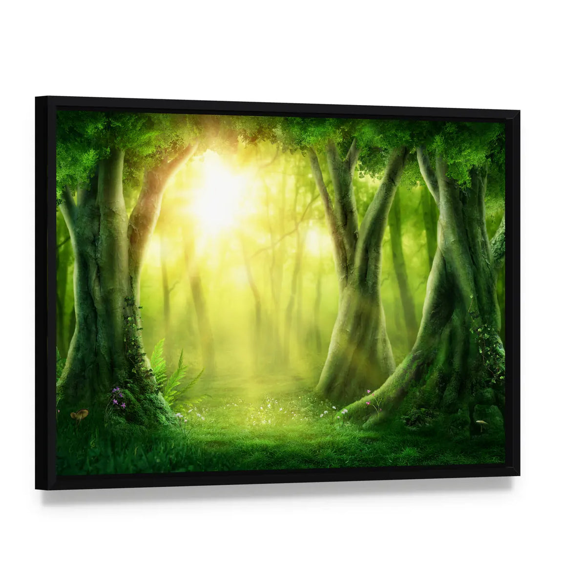 Dark Magic Forest With Sunshine Canvas Wall Art, framed canvas in a black floater frame, angled product view