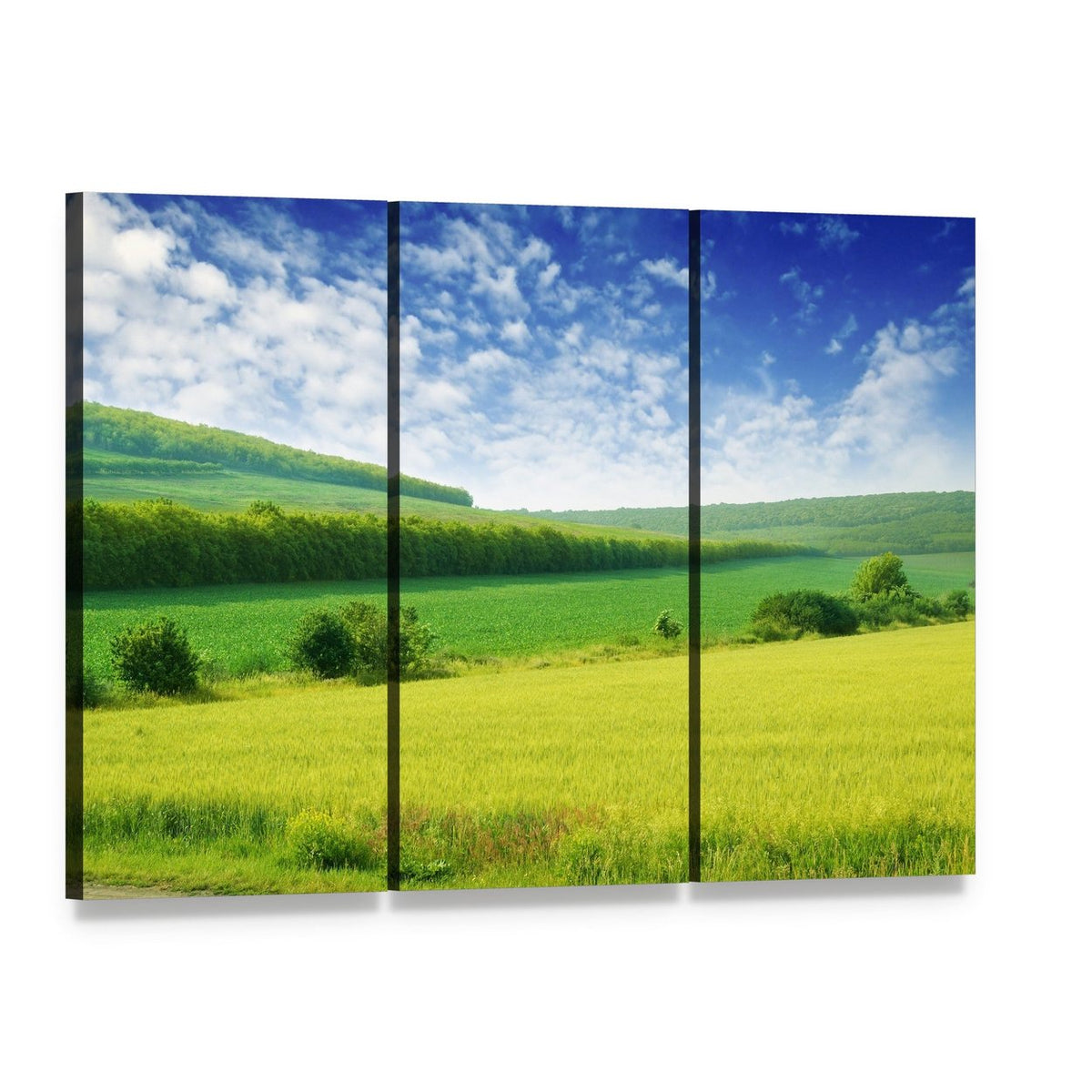 Green Spring Meadow Canvas Wall Art, 3 panel 3 Horizontal layout gallery wrapped canvas set, angled product view