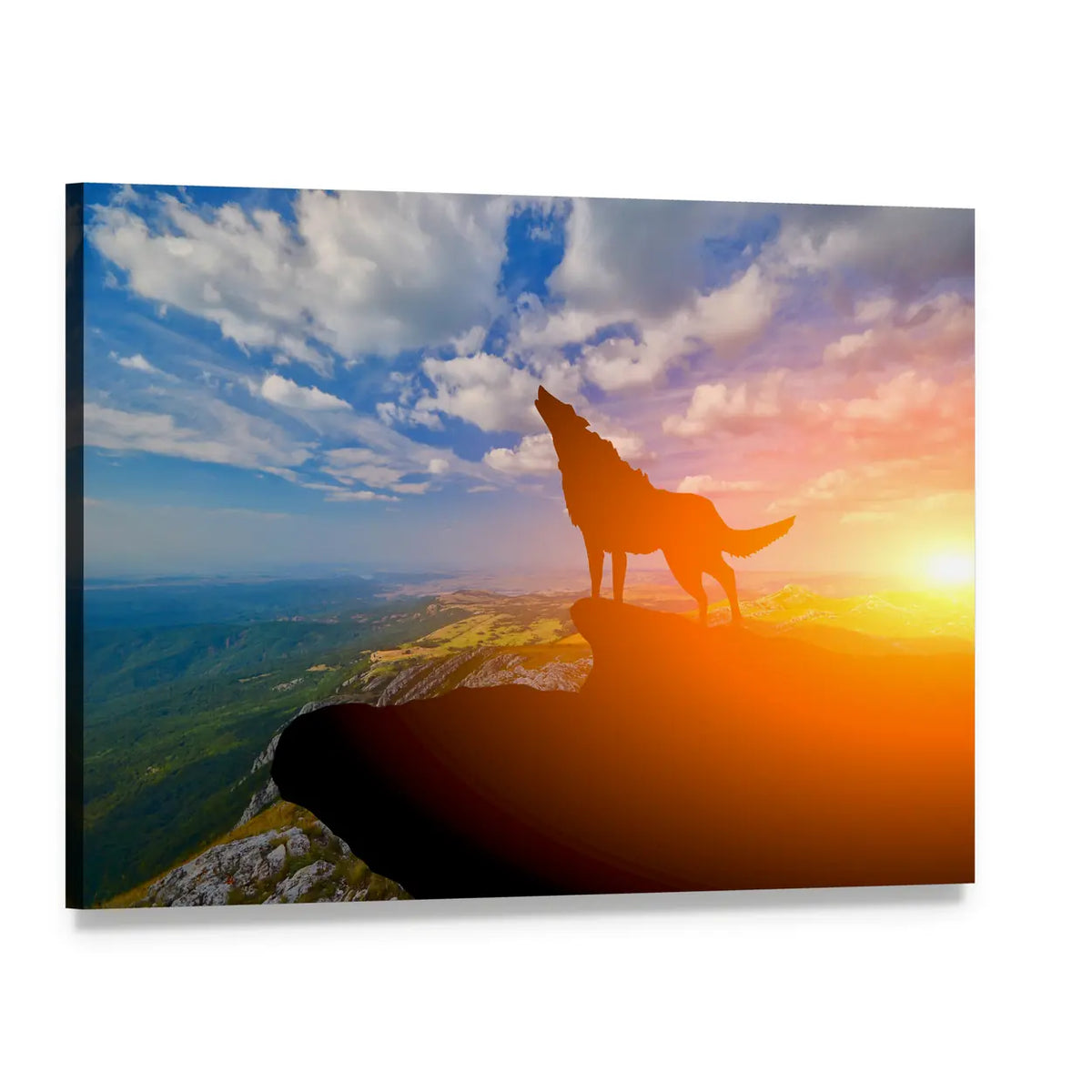 Howling Wolf on Mountain Top Canvas Wall Art, single panel gallery wrapped canvas, angled product view