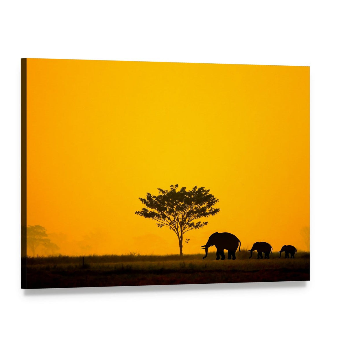 Group of Elephants in Thailand Canvas Wall Art, single panel gallery wrapped canvas, angled product view