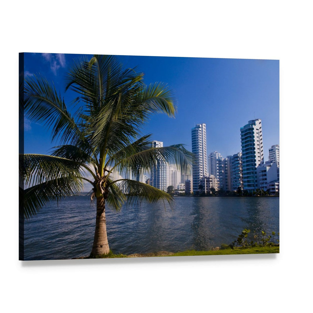 Boca Grande Cartagena Skyline with Palm Canvas Wall Art, single panel gallery wrapped canvas, angled product view
