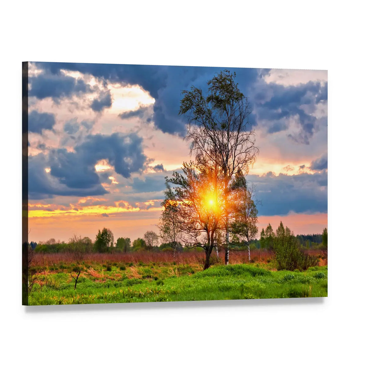 Golden Sunset in Summer Field Canvas Wall Art, single panel gallery wrapped canvas, angled product view