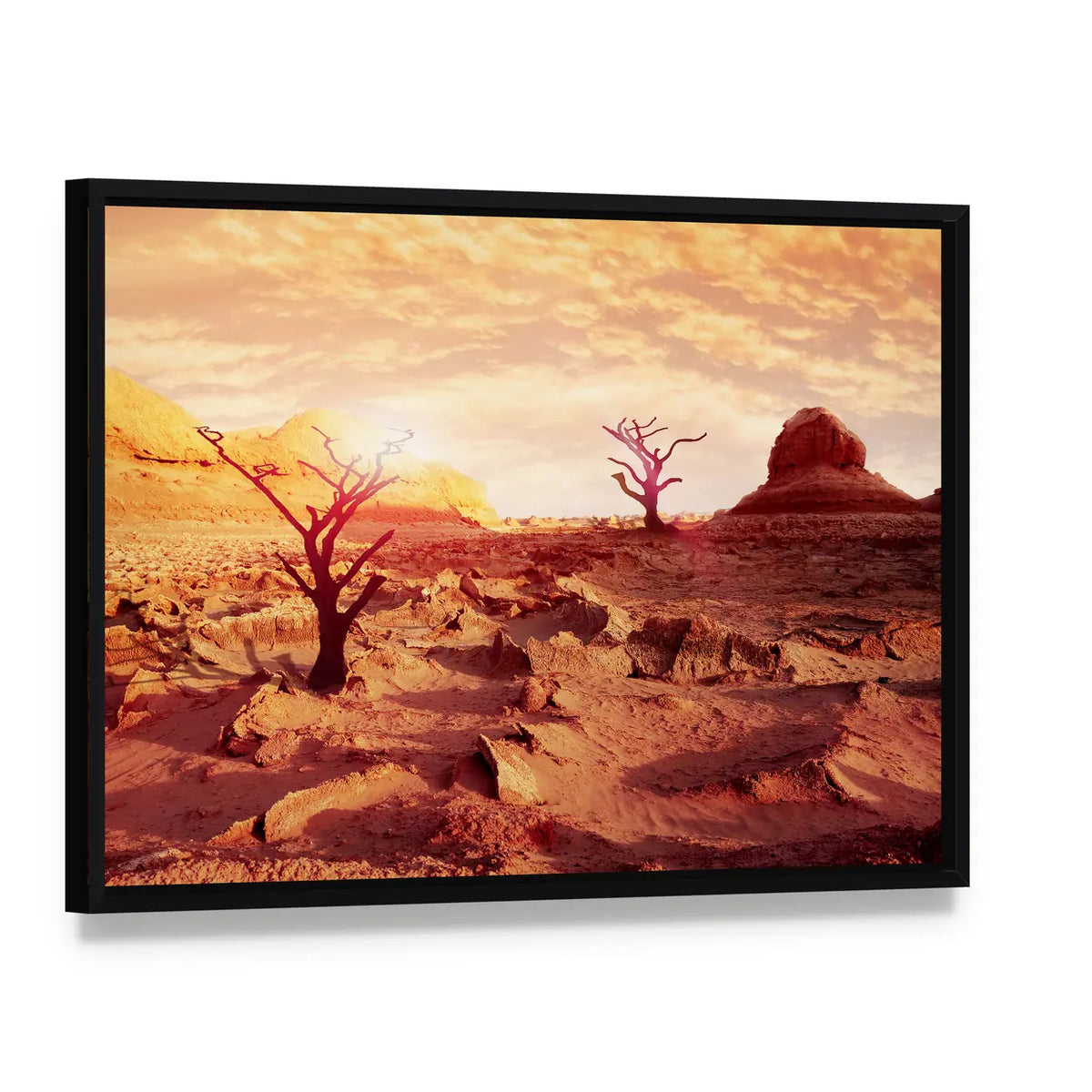 Dry Trees in the Desert Canvas Wall Art, framed canvas in a black floater frame, angled product view