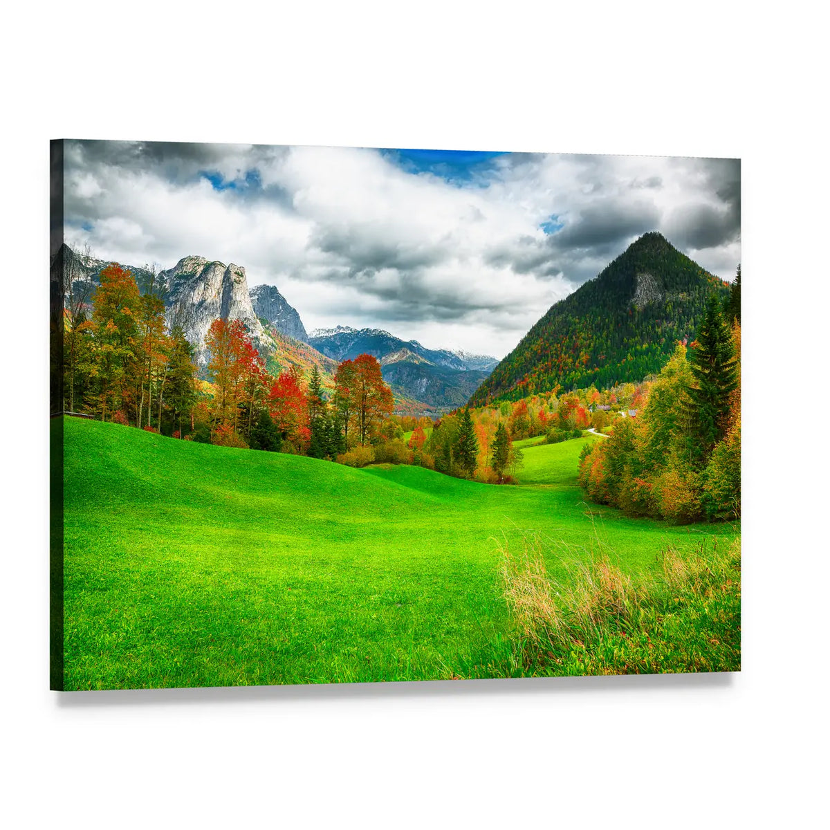Alpine Meadows Austria Canvas Wall Art, single panel gallery wrapped canvas, angled product view