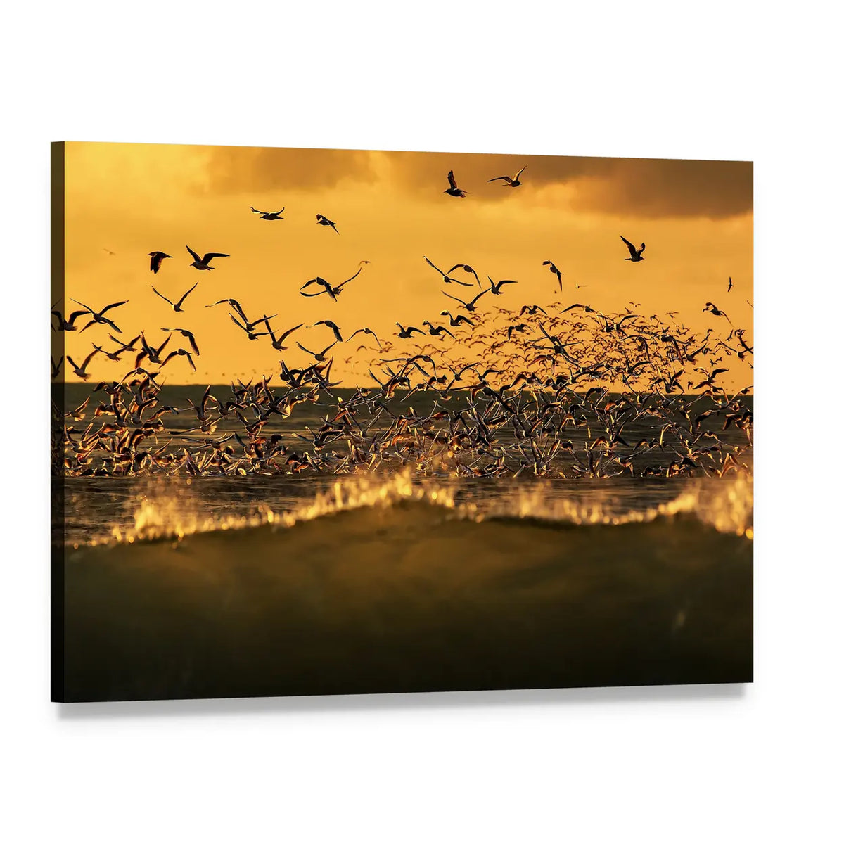 Seagulls Hovering Over Stormy Sea Canvas Wall Art, single panel gallery wrapped canvas, angled product view