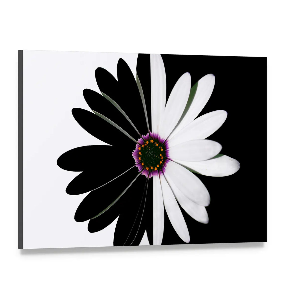 Black And White Flower Canvas Wall Art, single panel gallery wrapped canvas, angled product view