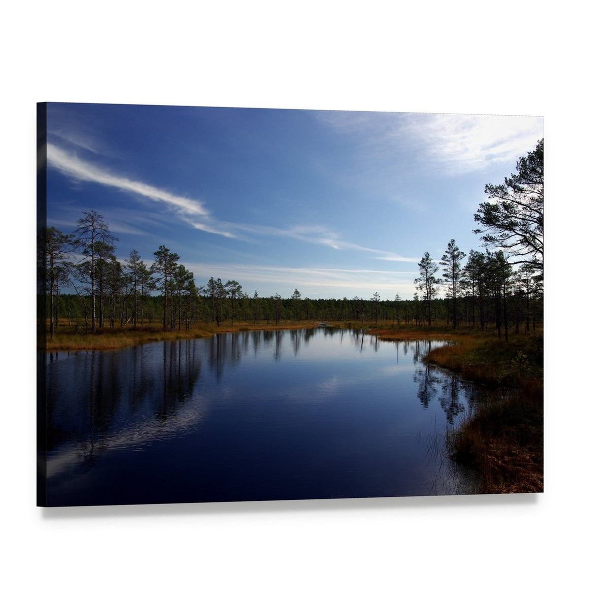 Viru Raba Swamp in Estonia Canvas Wall Art, single panel gallery wrapped canvas, angled product view