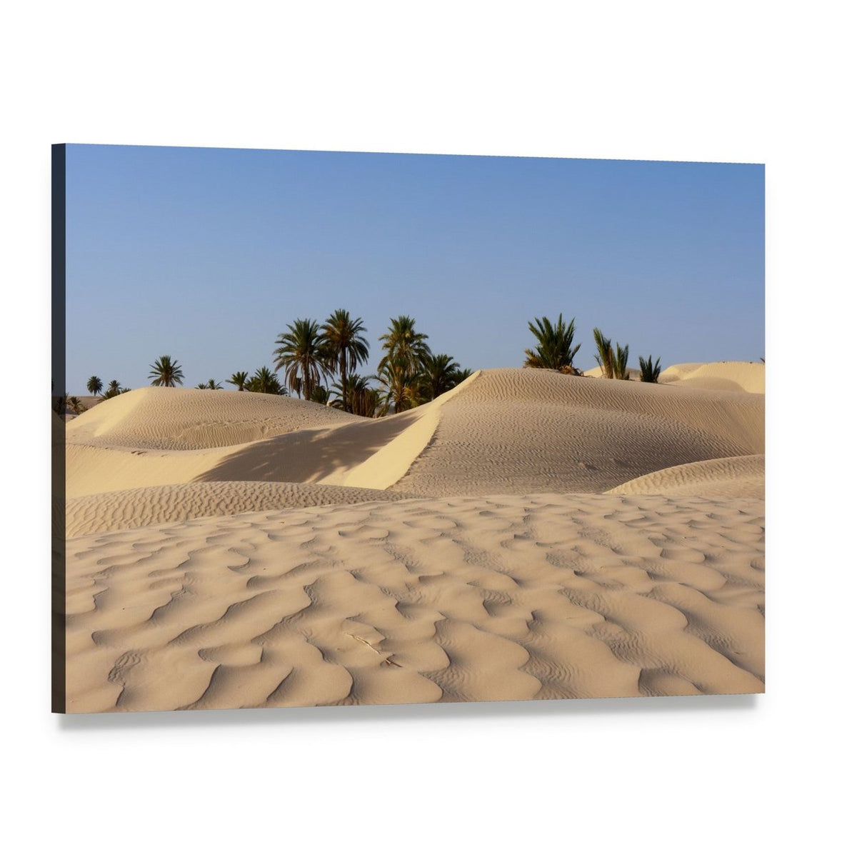 Desert Dunes and Palm Trees Canvas Wall Art, single panel gallery wrapped canvas, angled product view