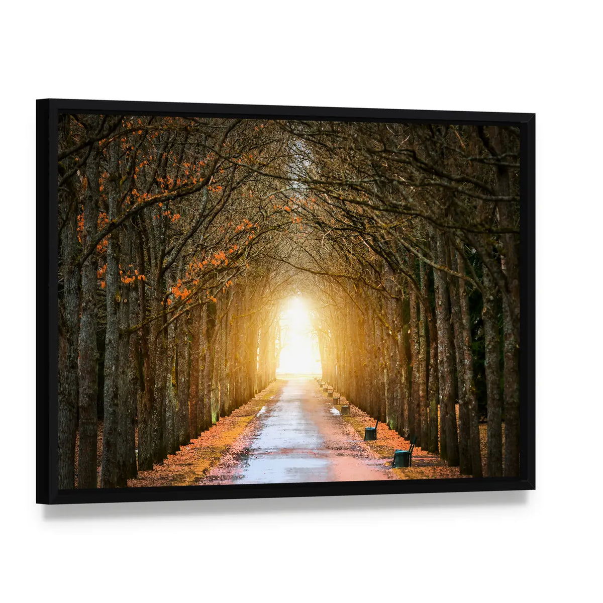 Autumn Tree Tunnel with Benches Canvas Wall Art, framed canvas in a black floater frame, angled product view