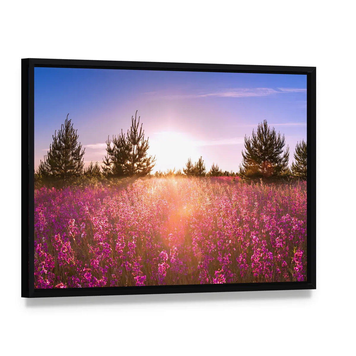 Blossoming Meadow at Sunrise Canvas Wall Art, framed canvas in a black floater frame, angled product view